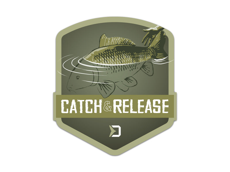 Aufkleber Delphin CATCH and RELEASE