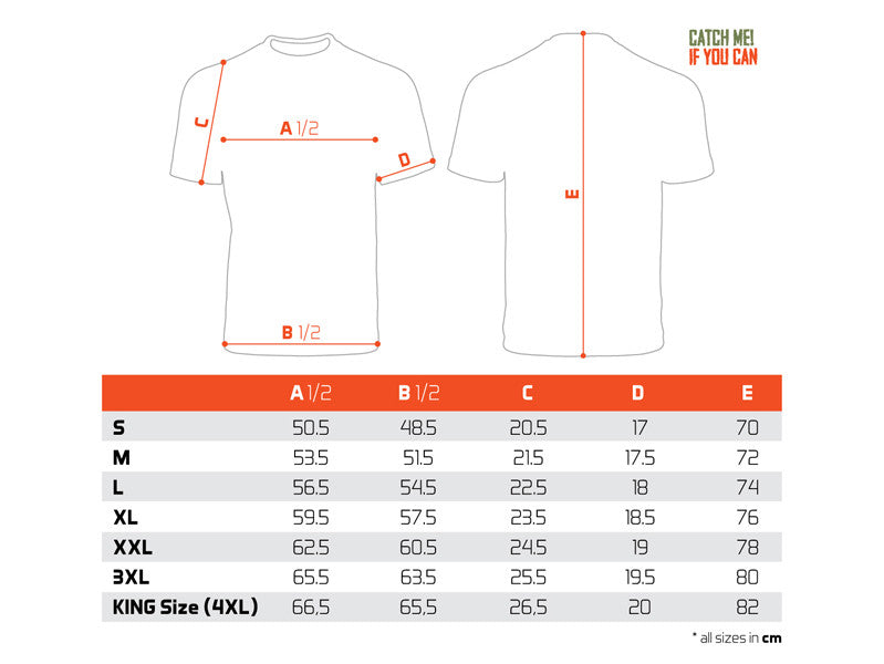 T-Shirt Delphin Catch me! HECHT