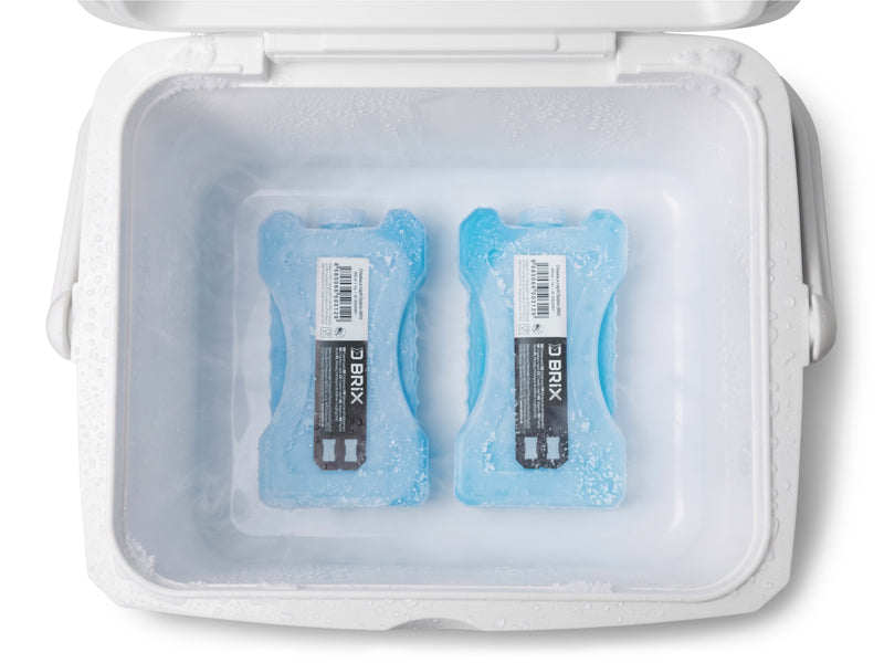 Kühlbox-Set Delphin TwiceBOX 2in1