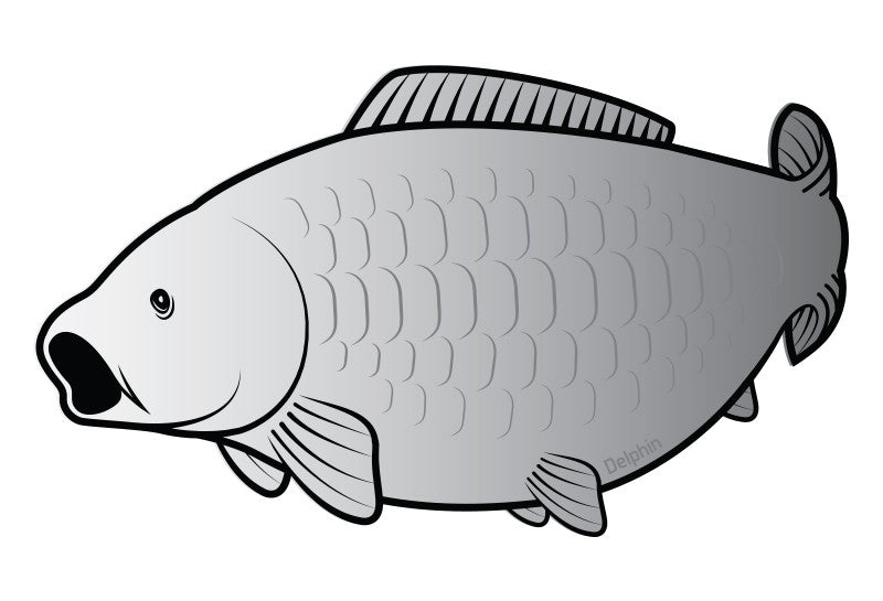 Aufkleber Karpfen SILVER