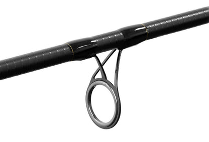 Delphin RIVER Trophy NXT + 4 Spitzen