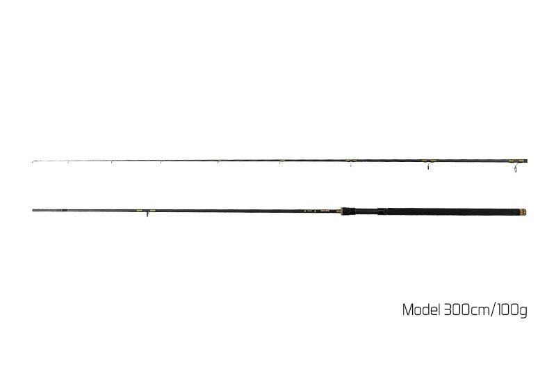 Delphin MURENA / 2 Teile