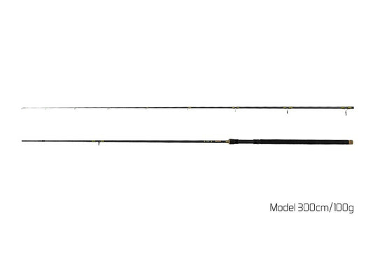 Delphin MURENA / 2 Teile