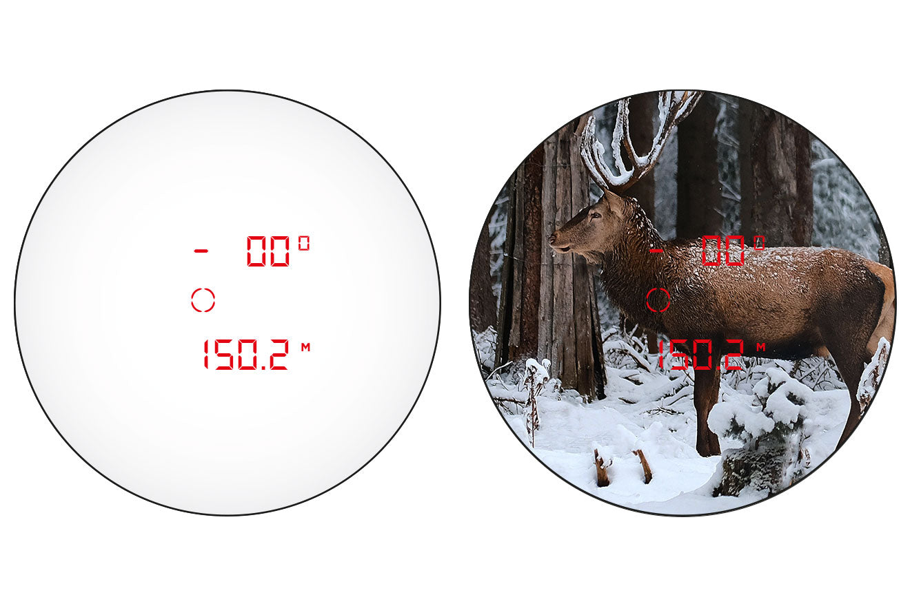 ALPEN OPTICS Apex XP 10x42 LRF Fernglas mit Entfernungsmesser