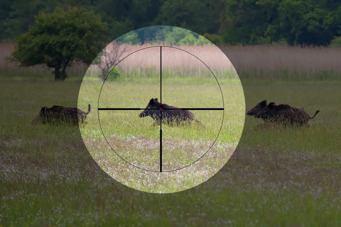 ALPEN OPTICS Apex LT Zieloptik 2-12x44 A4 mit SmartDot Technology