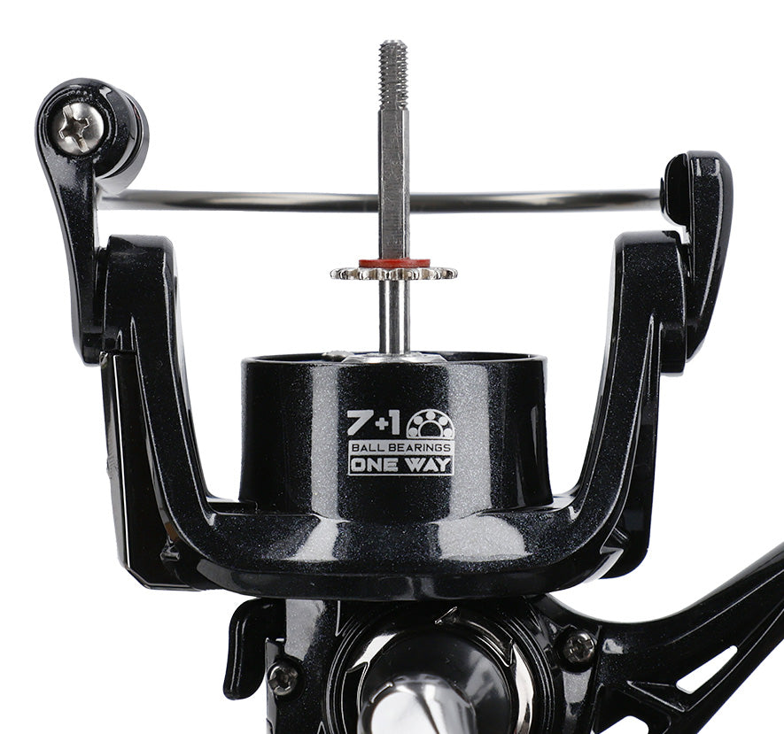 Mikado Rolle - Lx Ng 4008 Fd - 1 Stk.