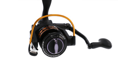 Mikado Rolle - Intro 3003FD - 1 Stk.