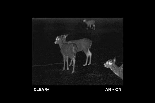 ALPEN OPTICS Apex Thermal 54 mm / 40 mk / 384 x 288