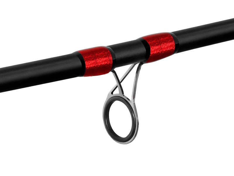 Delphin LEEDER Feeder + 2 Spitzen